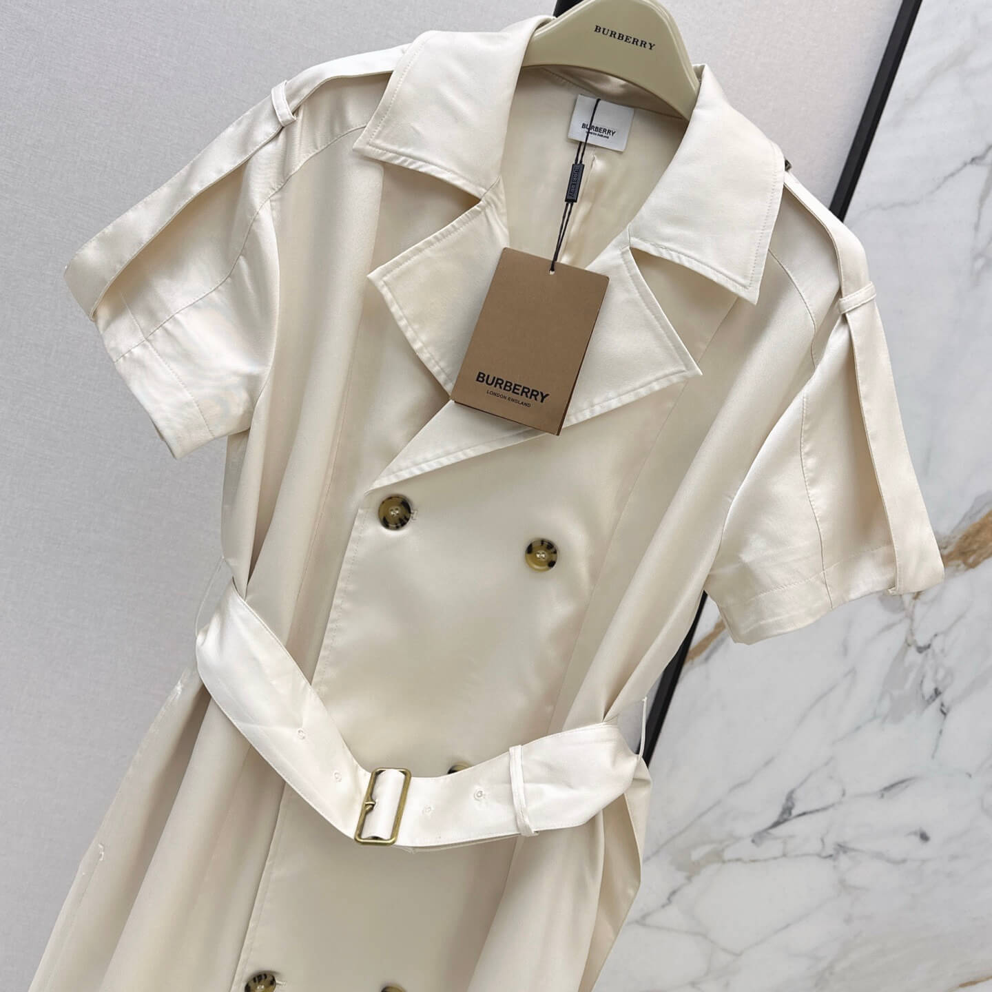 Tailored Trench Dress