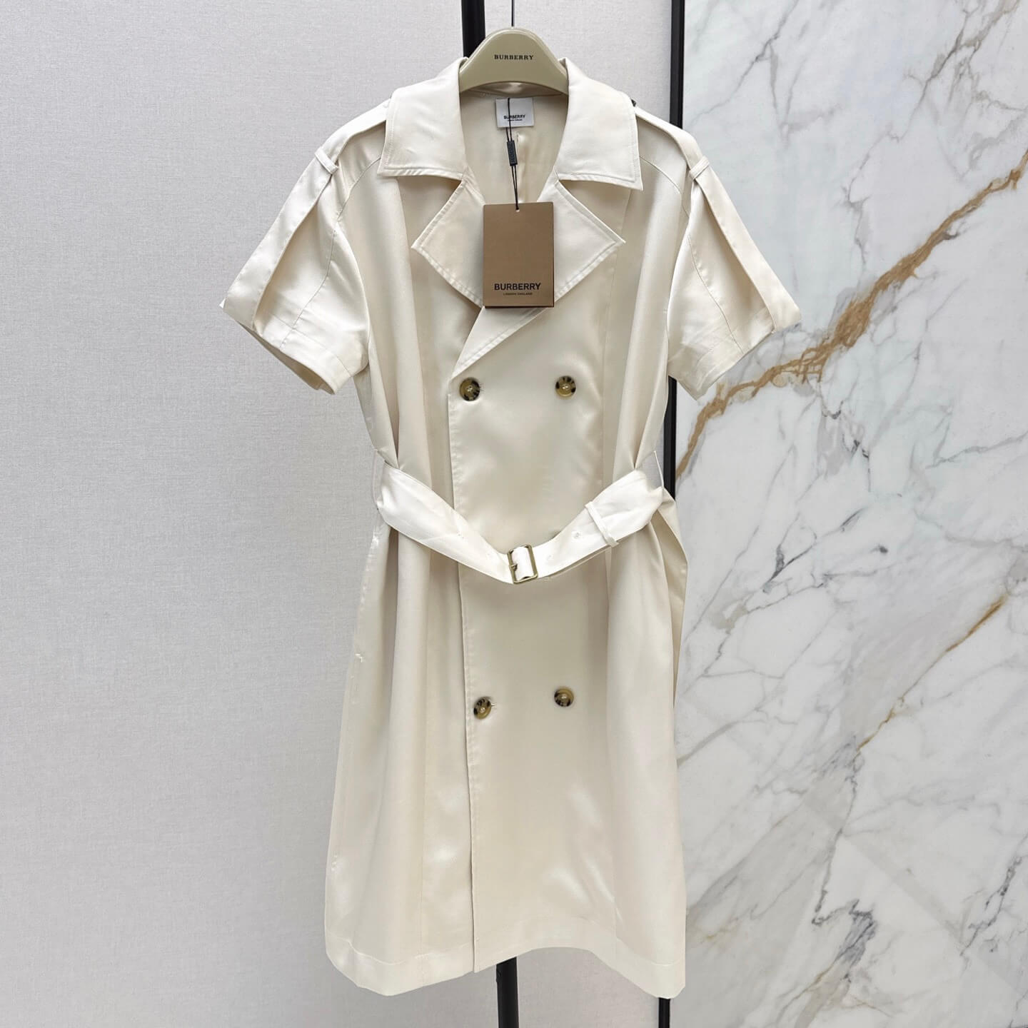 Tailored Trench Dress