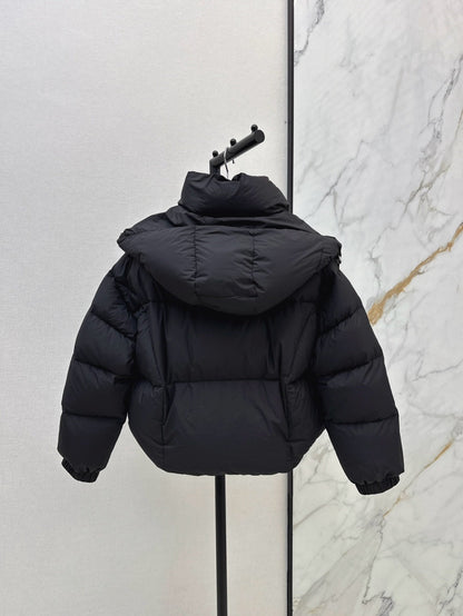 25fw down jacket
