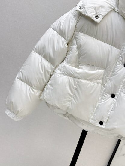 25fw down jacket