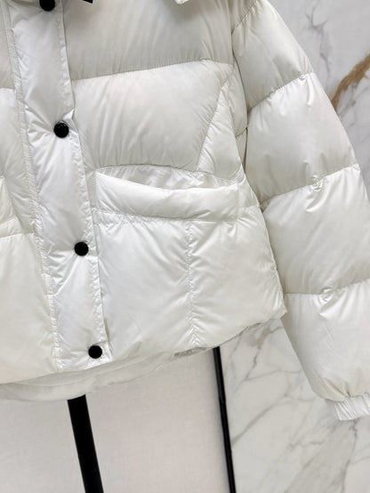 25fw down jacket