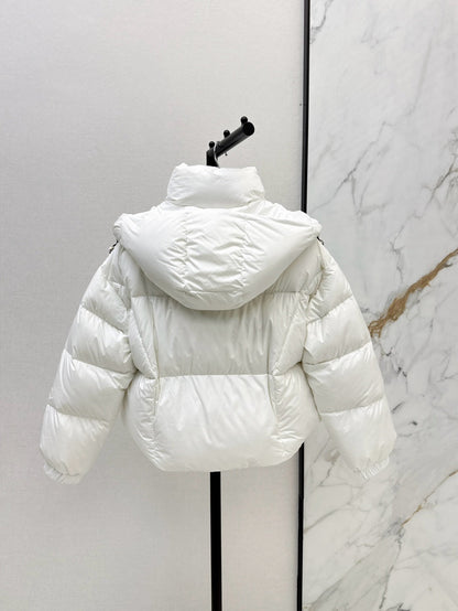 25fw down jacket
