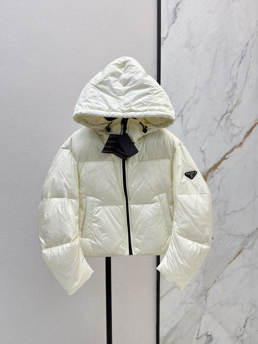 25fw down jacket