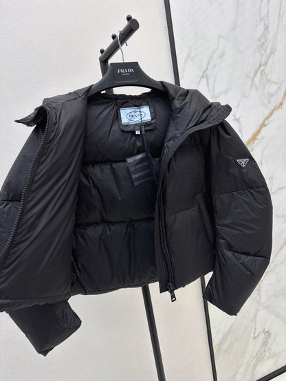 25fw down jacket